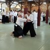 IMG_3151.jpg